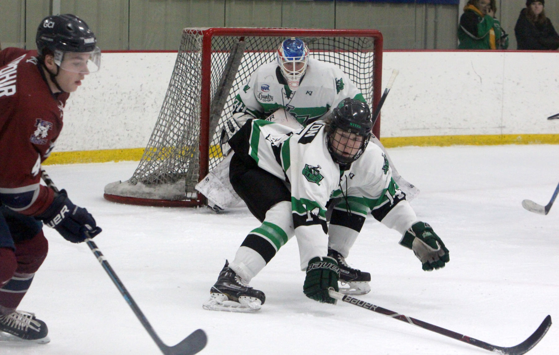 Fairbanks Ice Dogs at Chippewa Steel 12-29-18